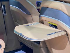 Zeekr Geely Zeekr 9X 2025 Ultra 70kWh 6-Seater - ფოტო 11