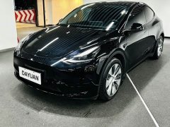 Tesla Model Y Long Range All-Wheel Drive - ფოტო 1