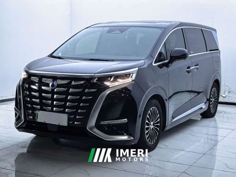 2024 Denza D9 DM-i 1050 Premium
