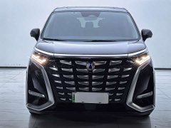 Denza BYD Denza D9 DM-i 1050 Premium - ფოტო 2