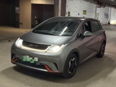 BYD Dolphin 405km Fashion Edition - ფოტო 1
