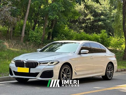 2022 BMW 5 Series 525Li M Sport Package - ავტომობილი ჩინეთიდან