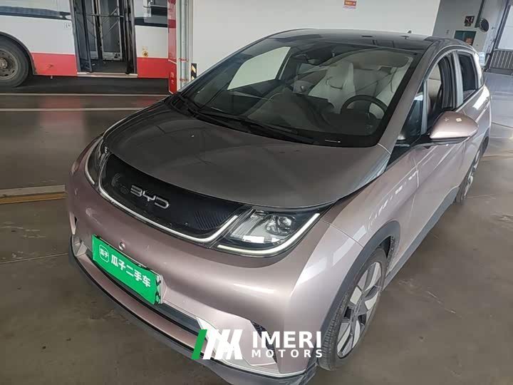 BYD Dolphin 401km Knight Edition - ავტომობილი ჩინეთიდან
