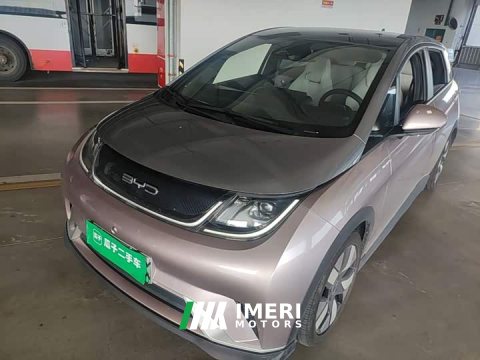 2021 BYD Dolphin 401km Knight Edition - ავტომობილი ჩინეთიდან