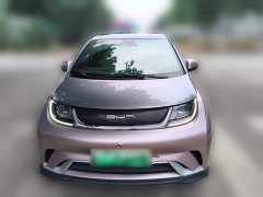 BYD Dolphin 401km Knight Edition - ფოტო 3
