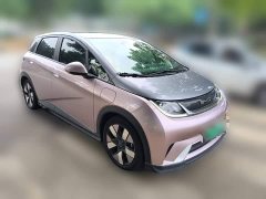 BYD Dolphin 401km Knight Edition - ფოტო 4
