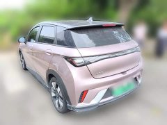 BYD Dolphin 401km Knight Edition - ფოტო 6