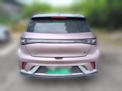 BYD Dolphin 401km Knight Edition - ფოტო 7
