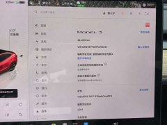 Tesla Model 3 2022 Rear-Wheel Drive - ფოტო 12