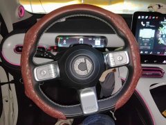 smart #1 2022 Pulse Heartbeat Edition - ფოტო 15