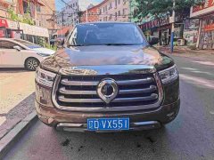 Tesla Cannon 2021 2.0T Passenger Global Edition Automatic Diesel 4WD Comfort Standard Box GW4D20M - ფოტო 1