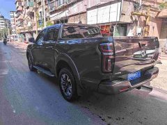 Tesla Cannon 2021 2.0T Passenger Global Edition Automatic Diesel 4WD Comfort Standard Box GW4D20M - ფოტო 6