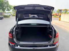 Volkswagen Passat 380TSI Dragon Prestige Edition - ფოტო 18