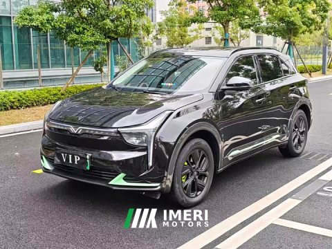 2022 Neta U Neta U-II 400 Deluxe Edition - ავტომობილი ჩინეთიდან