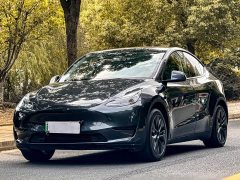 Tesla Model Y Rear-Wheel Drive - ფოტო 1
