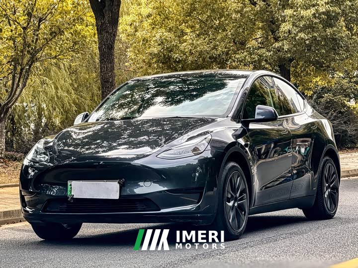 Tesla Model Y Rear-Wheel Drive