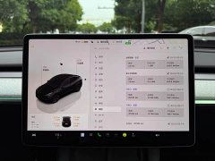 Tesla Model Y Rear-Wheel Drive - ფოტო 13