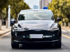 Tesla Model Y Rear-Wheel Drive - ფოტო 2