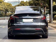 Tesla Model Y Rear-Wheel Drive - ფოტო 3