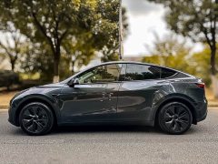 Tesla Model Y Rear-Wheel Drive - ფოტო 4