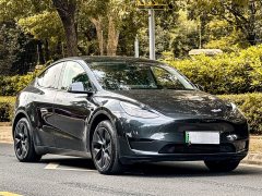 Tesla Model Y Rear-Wheel Drive - ფოტო 6