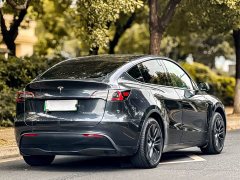 Tesla Model Y Rear-Wheel Drive - ფოტო 7