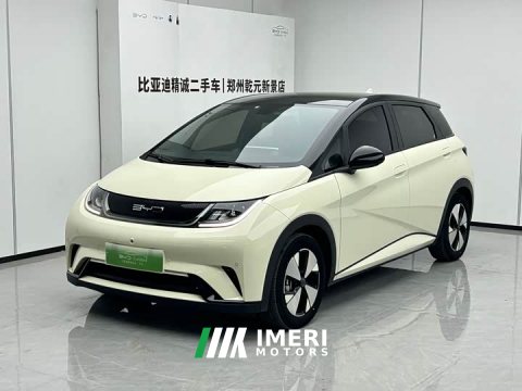 2023 BYD Dolphin 420km Fashion Edition - ავტომობილი ჩინეთიდან