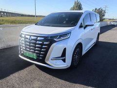 Denza BYD Denza D9 2022 DM-i 1040 Premium - ფოტო 1