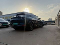 Ford Mustang Mach-E 2021 GT First Edition - ფოტო 7