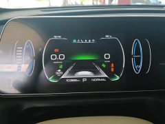 ORA Good Cat 401km Standard Range Luxury LFP - ფოტო 14