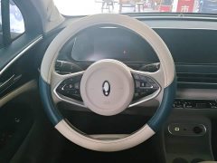 ORA Good Cat 401km Standard Range Luxury LFP - ფოტო 15