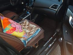 Nissan Sylphy Facelift Classic 1.6XE CVT Comfort - ფოტო 7