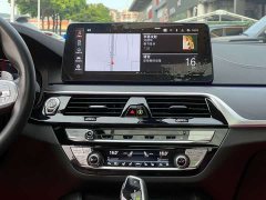 BMW 5 Series Facelift 530Li M Sport Luxury - ფოტო 12