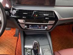 BMW 5 Series Facelift 530Li M Sport Luxury - ფოტო 18