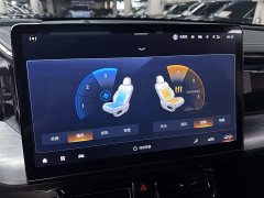 GAC Aion GS8 Dual Engine 2.0T M AWD Luxury Edition 7-Seater - ფოტო 19