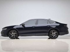 Volkswagen Magotan 380TSI DSG Premium Edition - ფოტო 7