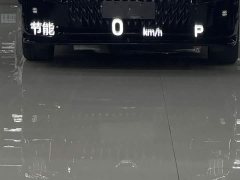 GAC Trumpchi GS8 Dual Engine 2.0TM AWD Luxury Edition (6-Seater) - ფოტო 14