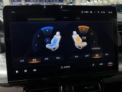 GAC Trumpchi GS8 Dual Engine 2.0TM AWD Luxury Edition (6-Seater) - ფოტო 18