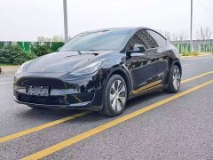 Tesla Model Y Rear-Wheel Drive - ფოტო 1