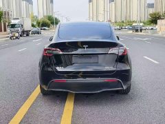 Tesla Model Y Rear-Wheel Drive - ფოტო 8