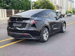 Tesla Model Y Rear-Wheel Drive - ფოტო 9