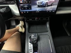 GAC Aion GS8 2022 Pioneer Series 2.0T GDI FWD Luxury Edition 7-Seater - ფოტო 18