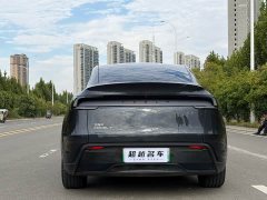 Tesla Model Y Rear-Wheel Drive - ფოტო 16