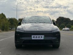 Tesla Model Y Rear-Wheel Drive - ფოტო 2