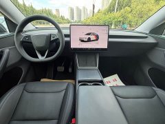 Tesla Model Y Rear-Wheel Drive - ფოტო 8