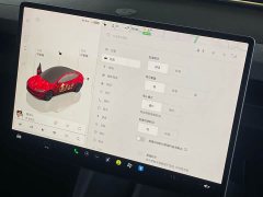 Tesla Model 3 2023 Rear-Wheel Drive - ფოტო 13