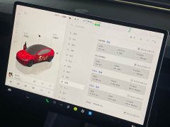 Tesla Model 3 2023 Rear-Wheel Drive - ფოტო 16