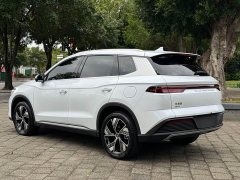 BYD Song Pro New Energy 2023 Champion Edition DM-i 110KM Excellence - ფოტო 6