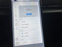 XPeng P5 460E - ფოტო 11