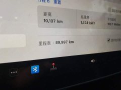Tesla Model 3 Rear-Wheel Drive - ფოტო 13